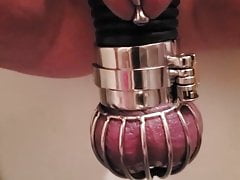 Chastity slave inspected before play
