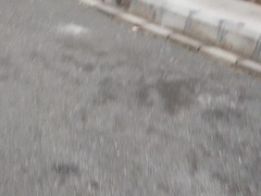 You shouldn't have fuck-fest by observing your step-sister-in-law.