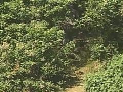 Classic porn with guys in jeans ready for some anal