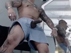 Gay tattoo, fledgling, gay pissing