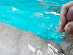 Jerking off in the pool.  Hairy belly cum shot