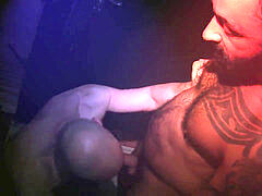 Otter, rectal, hd videos