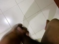 Srilankan black cock