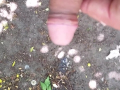 Urinating in the park and manhood rubdown