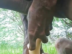 Desi Indian Rakesh anal by dildo .anal sex by dildo very hot and sexy boy Rakesh