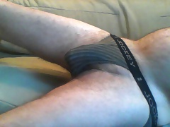 Bulge