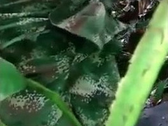 Militar novinho tocando uma no mato 9