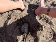 piss compilation. Twink thick cock pissing on parking, shower, public wc, beach, street...