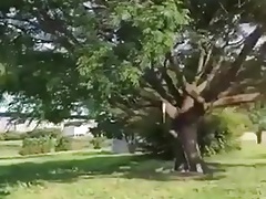 Walking and cumming
