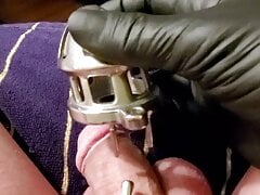 Shavebrush tiny grandpa penis gets caged