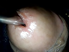 into urethra