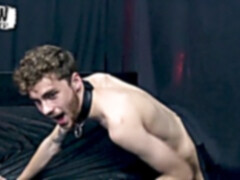 fabulous leather dom breeds anonymous bottom