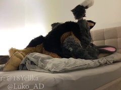 Hot German Shepherd Fucks Cute Gray Submissive Bunny (murrsuit Porn)