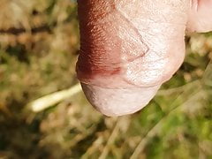 pissing in the wood
