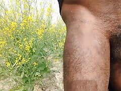 Free Desi Gay Boys Porn Videos