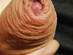 Foreskin and precum close up