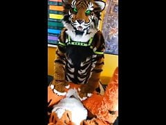 Taking Daddy Tiger Cock