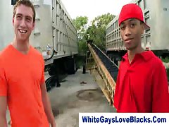 Gays blowjob in the street