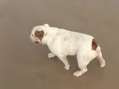 BEALMI - AUSTRALIA TOUR 6 - Backstage