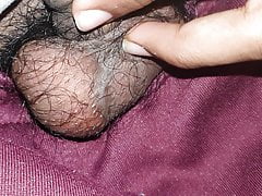 Cock boy 123