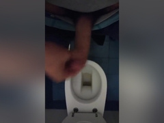 Sega in un bagno pubblico