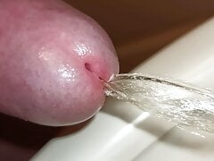 Extreme close up of uncut cock, pissing!