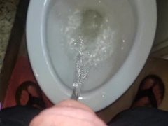 Witness Xxx Harold Pee All Around Town (Preview)