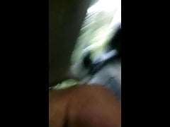 Anal