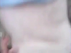 Amateur Bears in the Woods