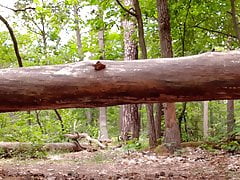 ... nackt im Wald am und auf dem Baumstamm chillen !
