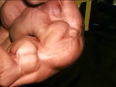 Solid Biceps