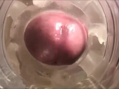 Toying with fresh fucktoy