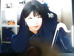 korean twitch streamer sonyshow cumtribute