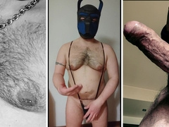 Hooded Otter - Vlog ask me anything