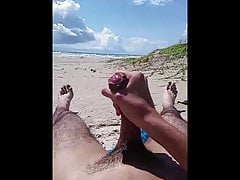 beach clips