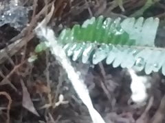 Me pissing outdoors again daytime gay horny