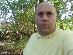 Bear in forest.