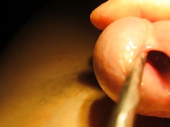Urethral sounding and stretching with cumshot