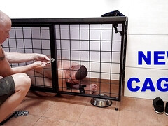 New cage