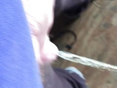 shed pee