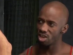 Black Fists White Asses