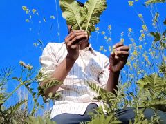 Satyam Video Desi Indian
