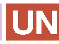 Damn! With a Chisel Like That, You Are Prepared for School, Sonnie