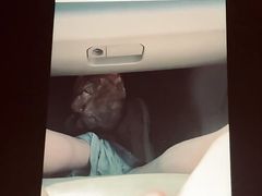 Car jerk In public