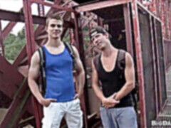 Cub, amateur bareback, muscle bareback