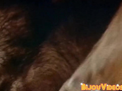 Retro gay porn horny muscle men big dick sucking sixtynine