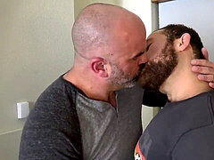 fur covered teddies drill