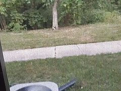 Almost Caught