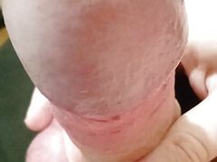 My cock looks like a sexy shemale's cock, doesn't it?