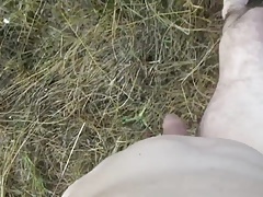 cock,ass and pussy